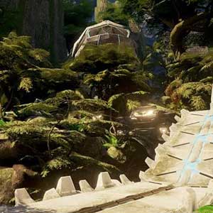 Silencieux de la nature