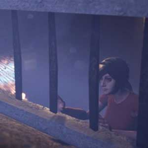 les oiseaux libres volent