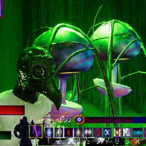 Old Shadow - Champignons