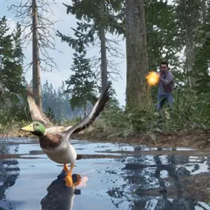 Online 404 - Chasse aux Canards