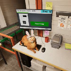 ORDER 13 - Chat Orange