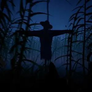 Outfield - Épouvantail