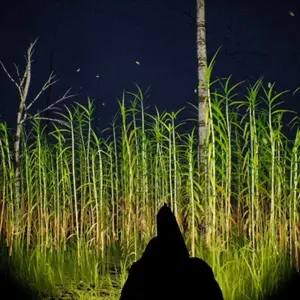 Outfield - Fusil