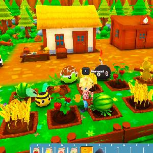 Ova Magica - Récolte