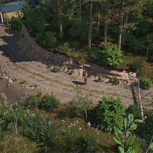 Pathogenesis Overcome Patrouille Routière