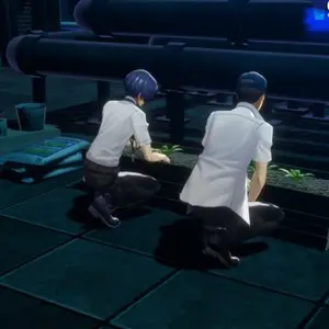 Persona 6 - Jardinage sur le toit