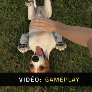 Pets Hotel - Gameplay