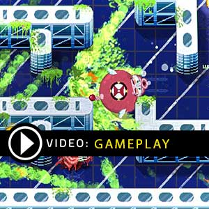 Pig Eat Ball Gameplay Video