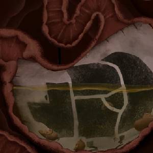 PIGROMANCE - Estomac