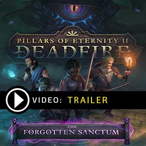 Acheter Pillars of Eternity 2 Deadfire The Forgotten Sanctum Clé CD Comparateur Prix