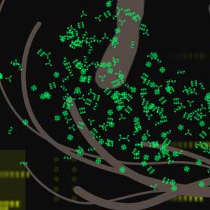 PixelJunk Eden - Fragments de Spore