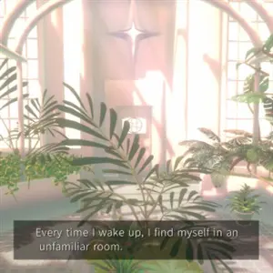 PLATONICA SPACE - Plantes