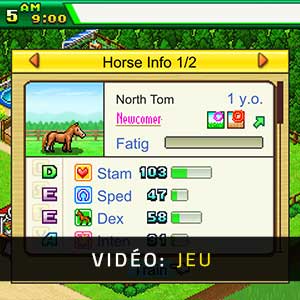 Pocket Stables - Vidéo de Jeu