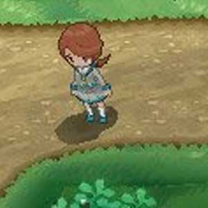 Pokemon X Nintendo 3DS Conversation