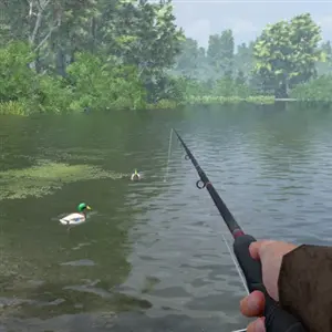 Professional Fishing 2 Canard Colvert