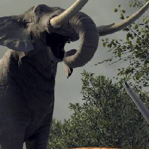 Project VR Wild Hunt - Éléphant