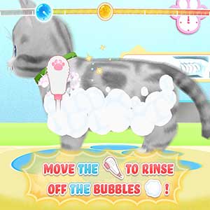 Pups and Purrs Animal Hospital Chaton