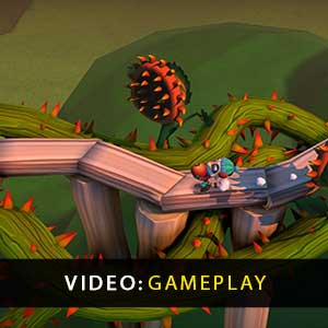 Raccoo Venture Gameplay Video