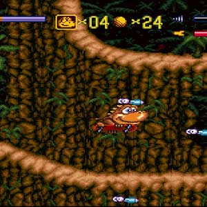 Acheter Radical Rex Clé CD Comparateur Prix