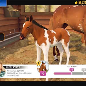 Rival Stars Horse Racing Poulain