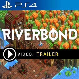 RIVERBOND PS4 en boîte ou à télécharger