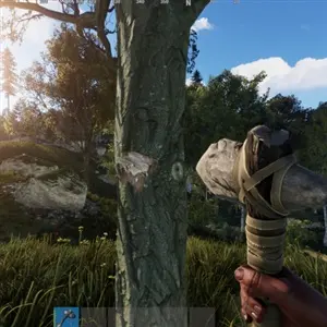 Rust - Collecte de ressources