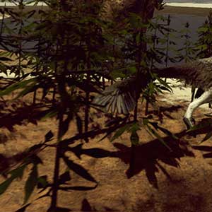 Environnements divers de Hell Creek