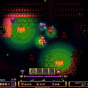 Serin Fate - Citrouille