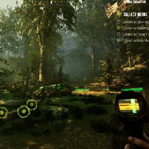 Serum - Collecte D'herbes