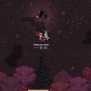 Shadowkin Niveau Supérieur