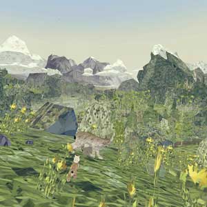 Shelter 2 Mountains Forests