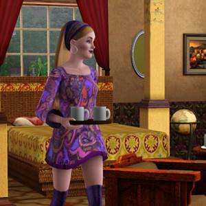 Sims 3 - Salon