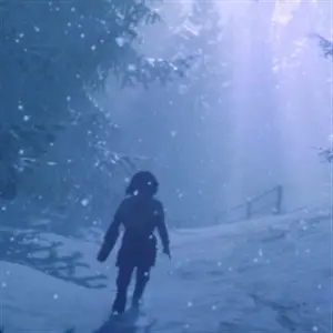 Skábma Snowfall - Hiver