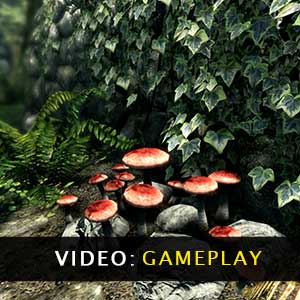 Vidéo du jeu Skyrim Special Edition