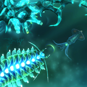 Sparkle 3 Genesis Cephalopod