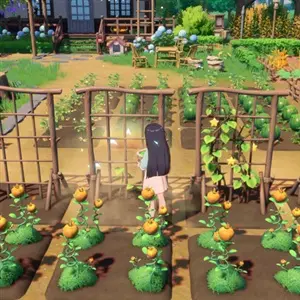 Starsand Island - Plantation