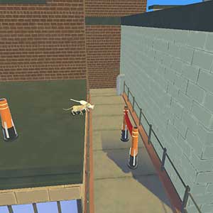 Street Cats Race - Ligne d'arrivée