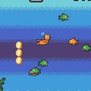 Nager avec les poissons