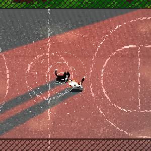 TactiCats - Terrain de Basket