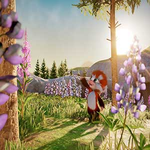 ensembles d'insectes