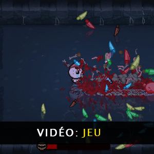 The Binding of Isaac Repentance Vidéo de jeu