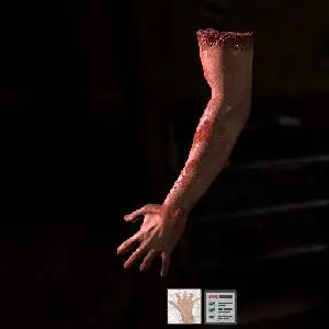 The Black Within - Bras Humains