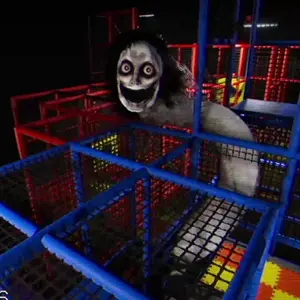 The Classrooms - Entité