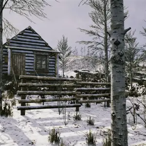 The Cold White - Cabane