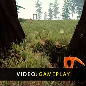 The Forest PS4 Vidéo de jeu