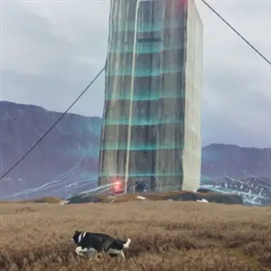 The Free Shepherd - Structure