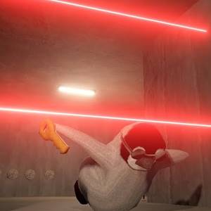 The Greatest Penguin Heist of All Time Laser