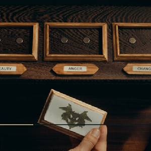 The Isle Tide Hotel Choix