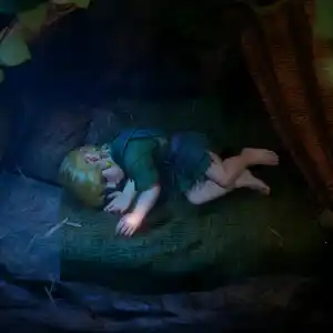 The Legend of Zelda: Ocarina of Time - Dormant