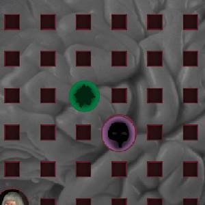 the Line - Zone Esprit